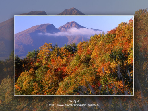 45768 (a): :1024x768